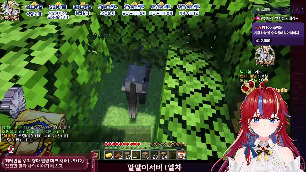 까꿍~