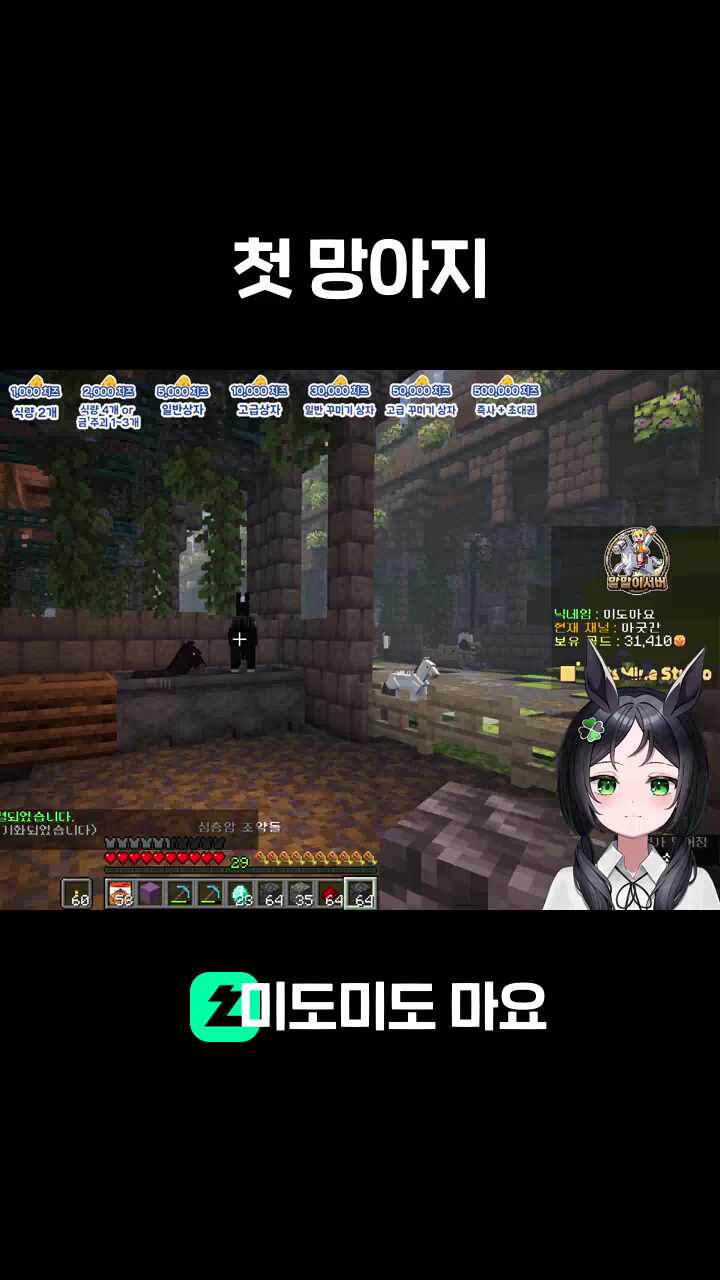 첫 망아지