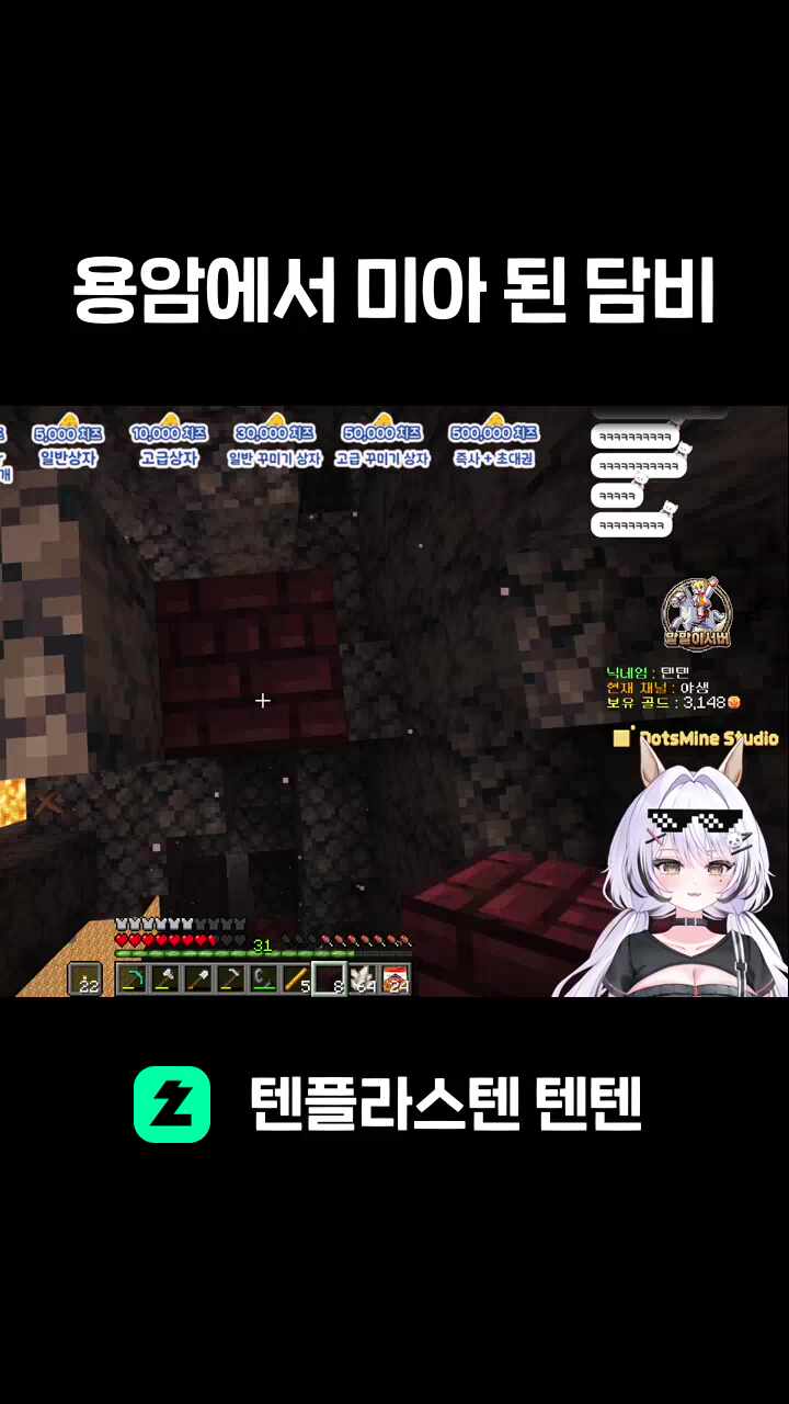 용암에서 미아 된 담비