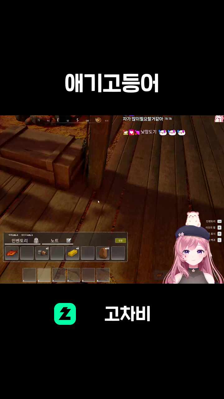 애기고등어