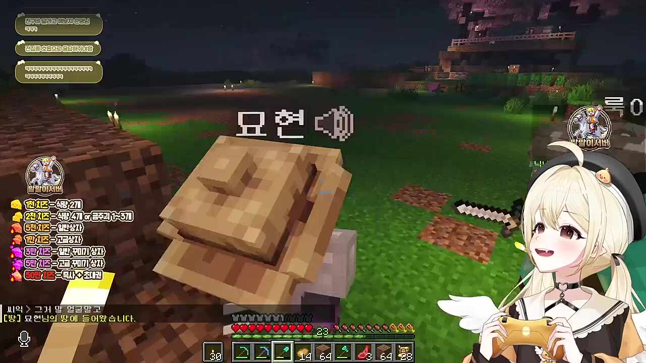 AVI 따시던가~