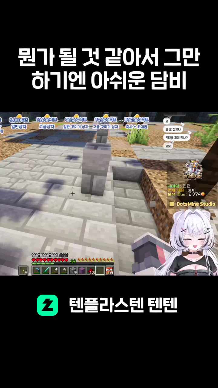 뭔가 될 것 같아서 그만하기엔 아쉬운 담비