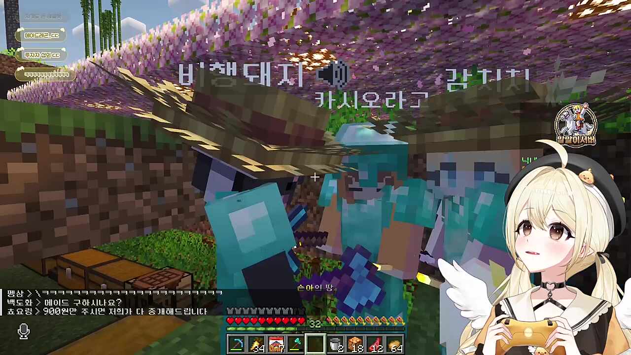 병아리클럽의 서막