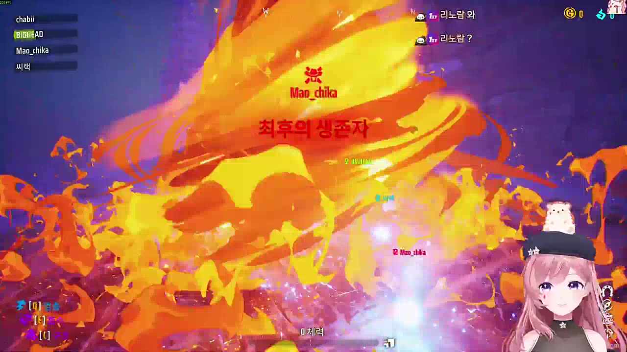 니드몬 탄다