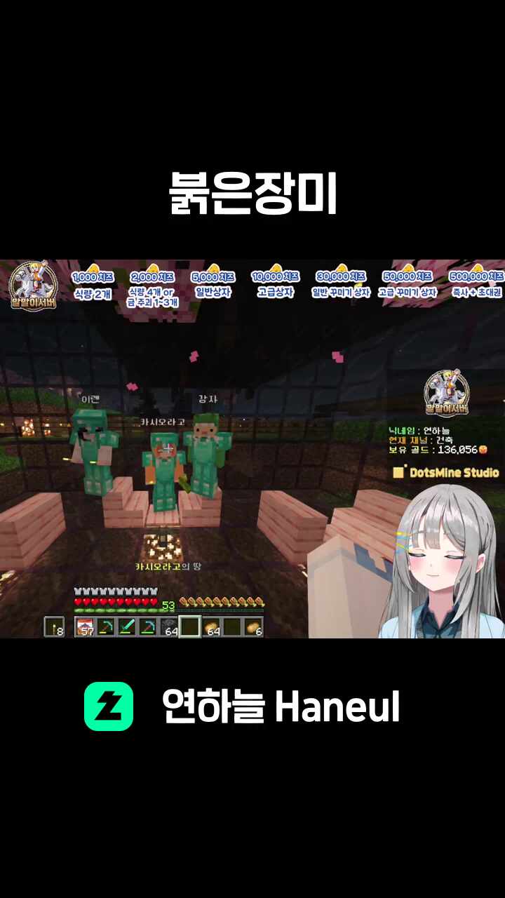 붉은장미