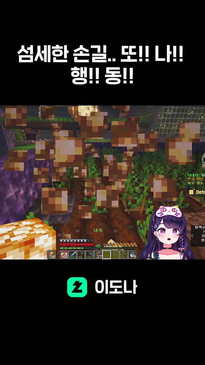 섬세한 손길.. 또!! 나!! 행!! 동!!