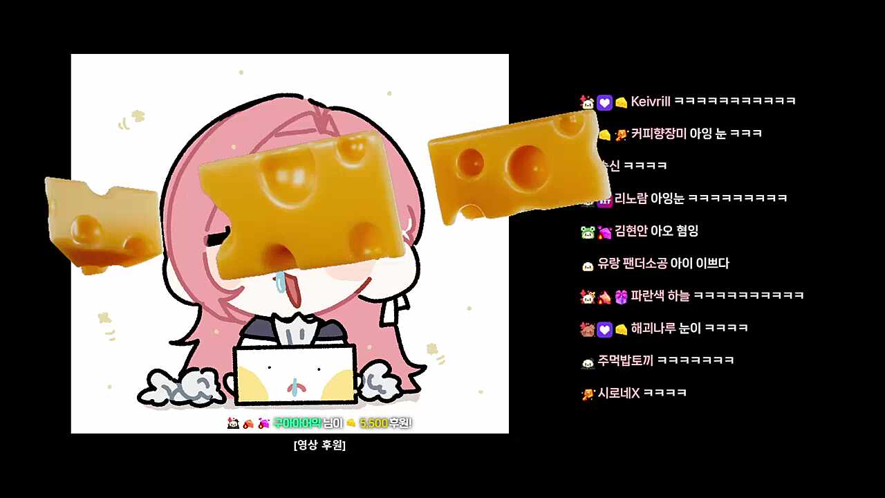 타비의 꽉찬 B컵은충분해