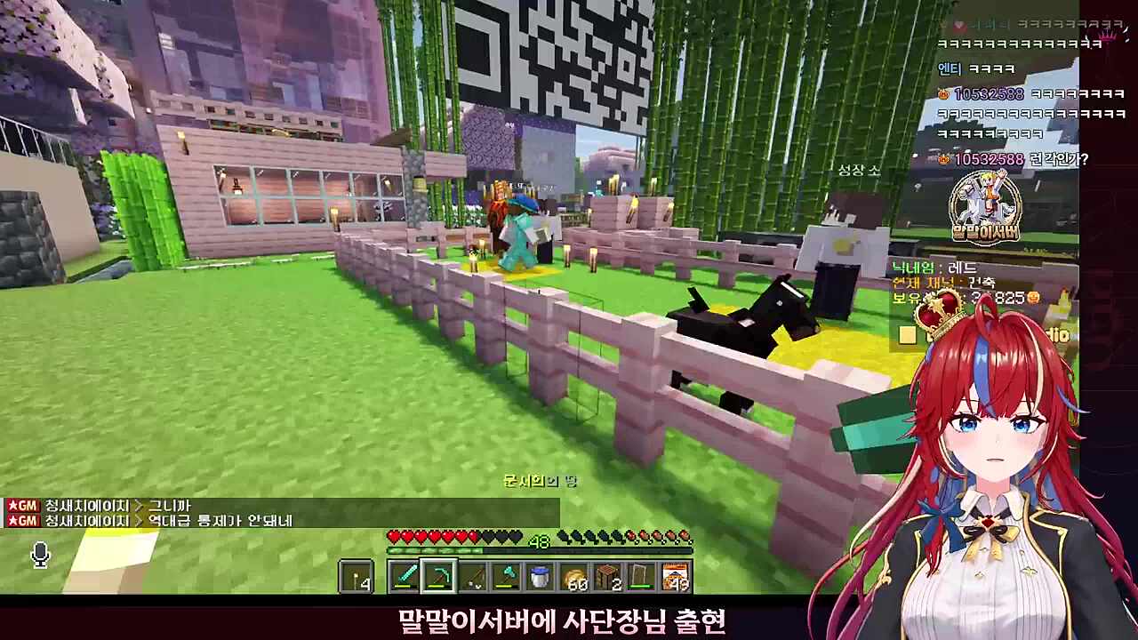 ?? : 이제부터 니 이름은 춘식이여