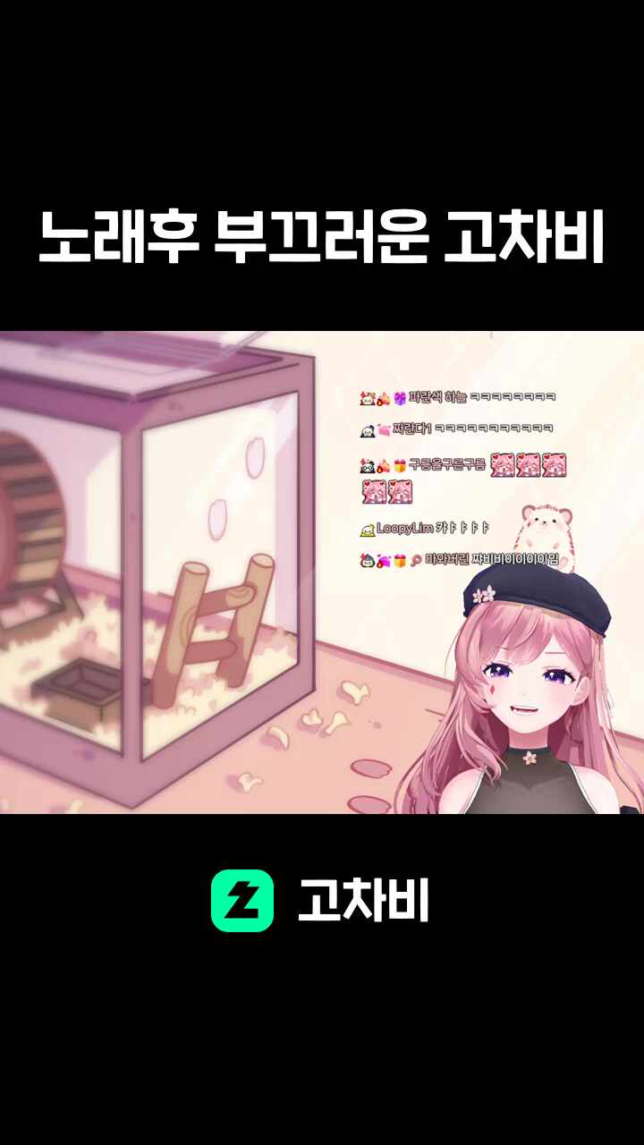노래후 부끄러운 고차비