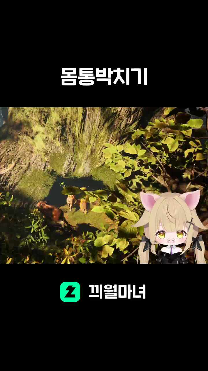 몸통박치기