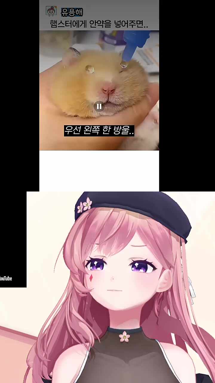 너무 귀여워! 뀨!