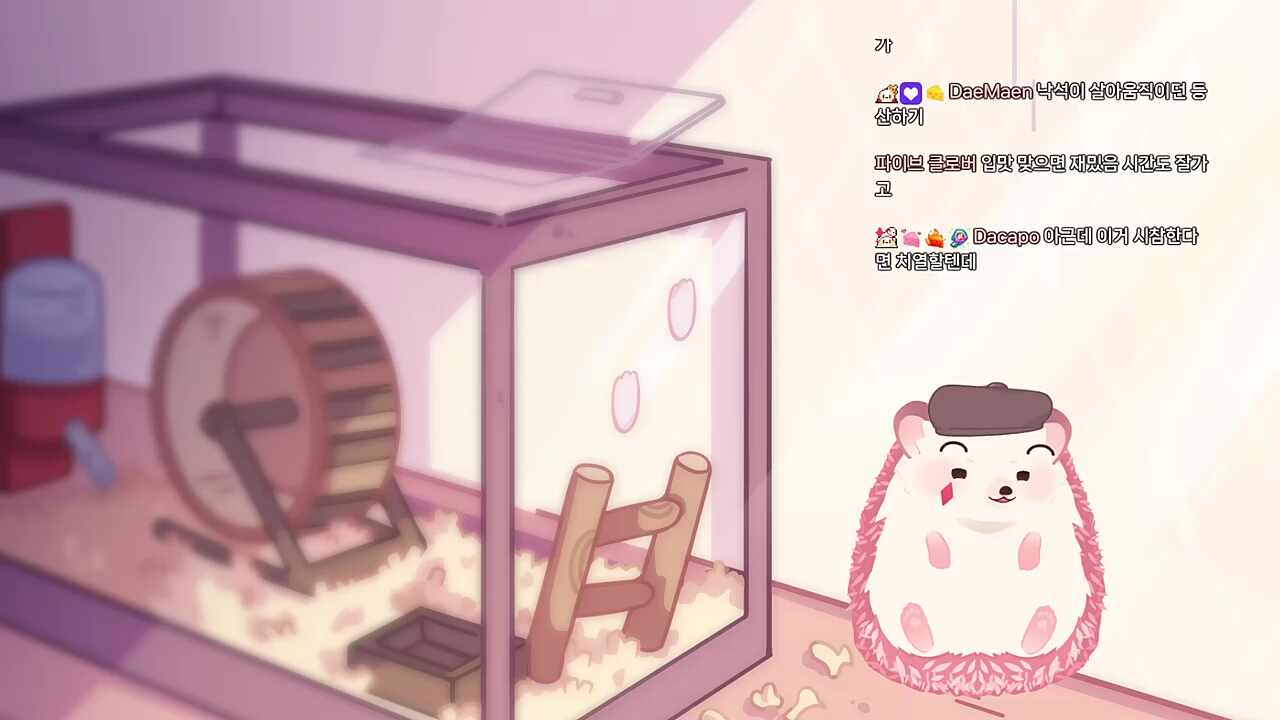 오빠가 맨날 스타 방송 해달라고한다