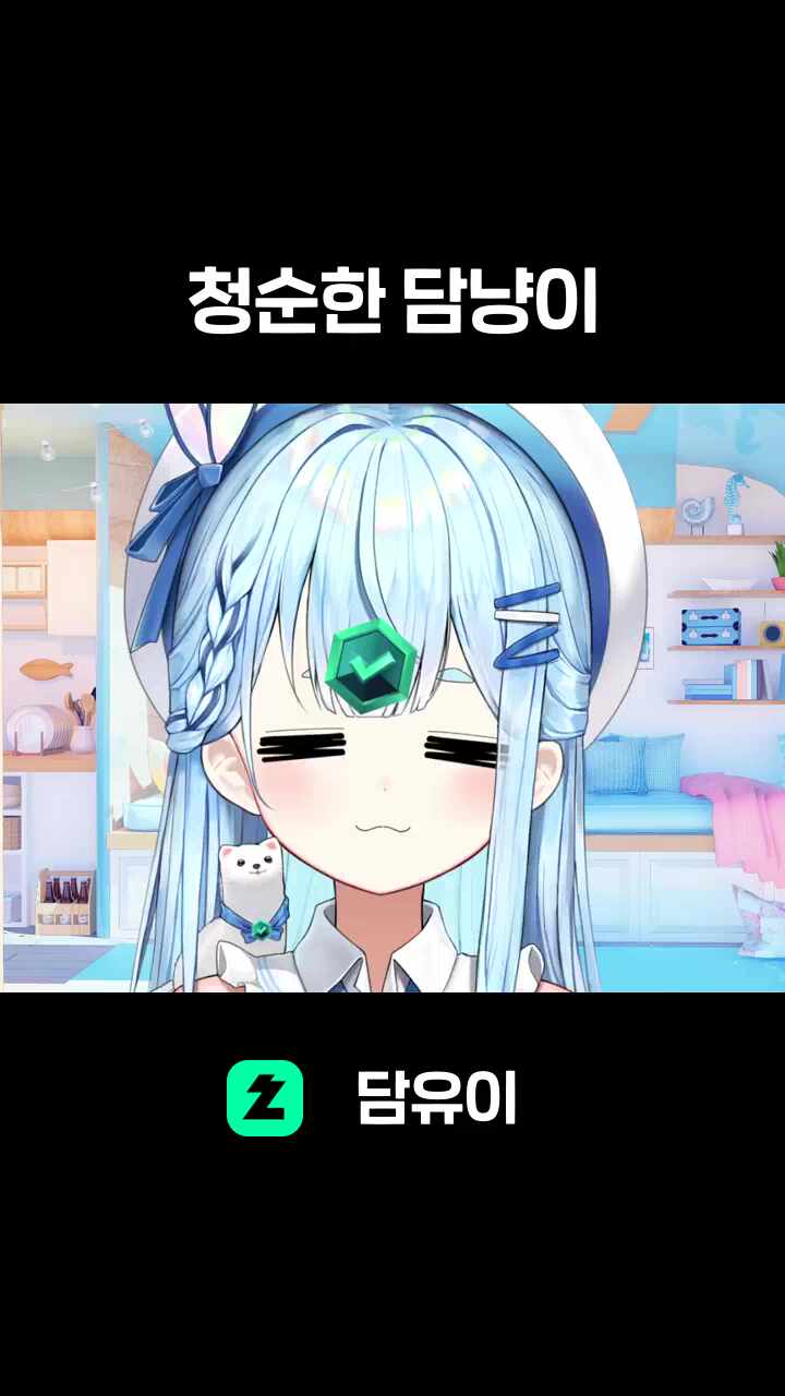 청순한 담냥이