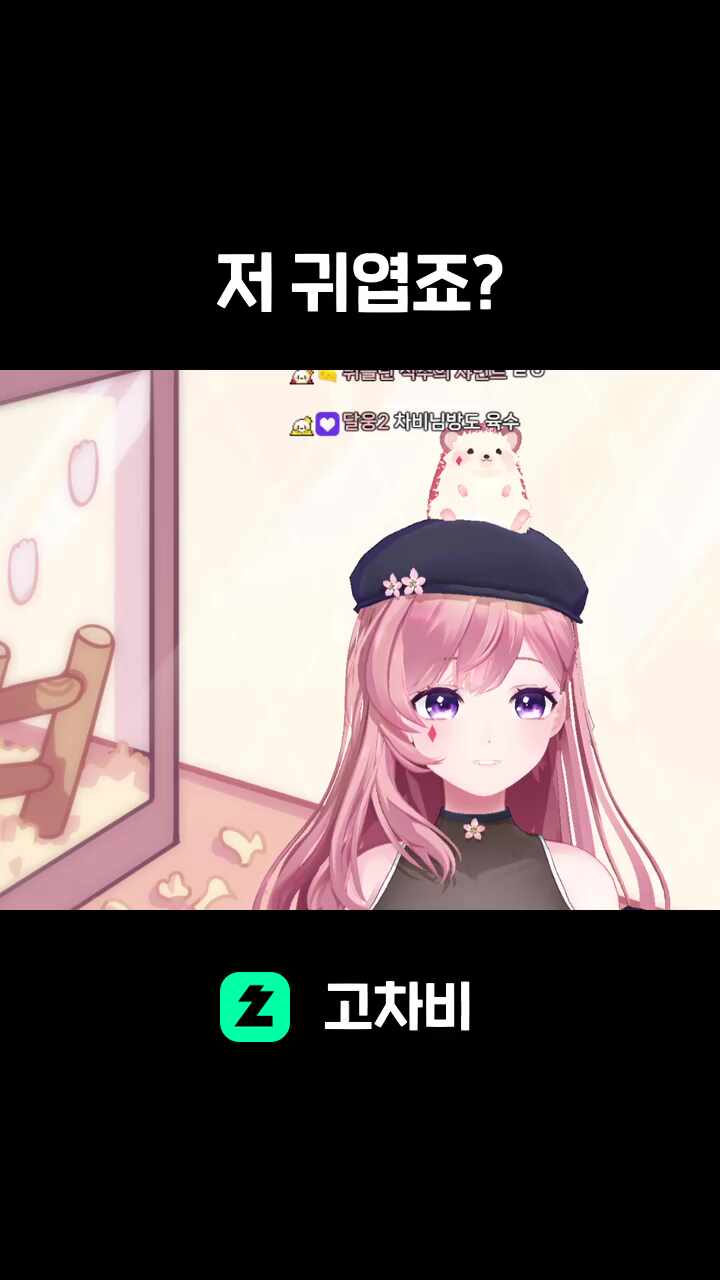 저 귀엽죠?