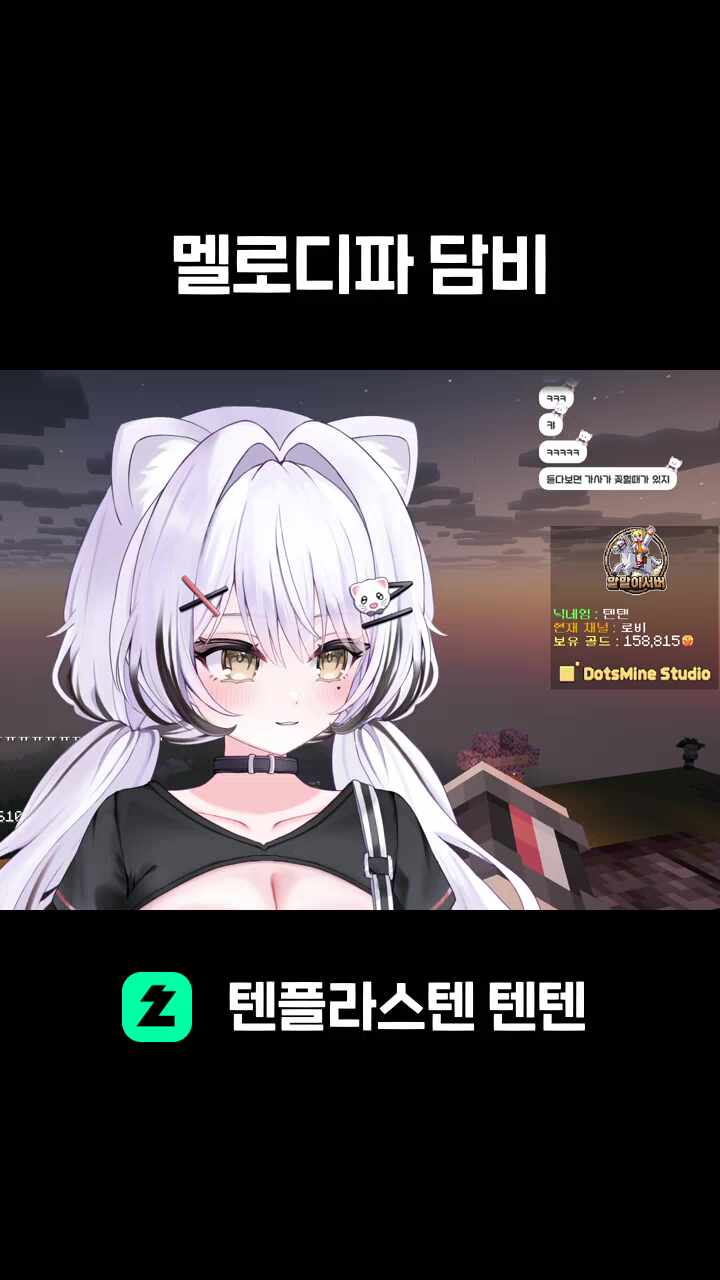 멜로디파 담비