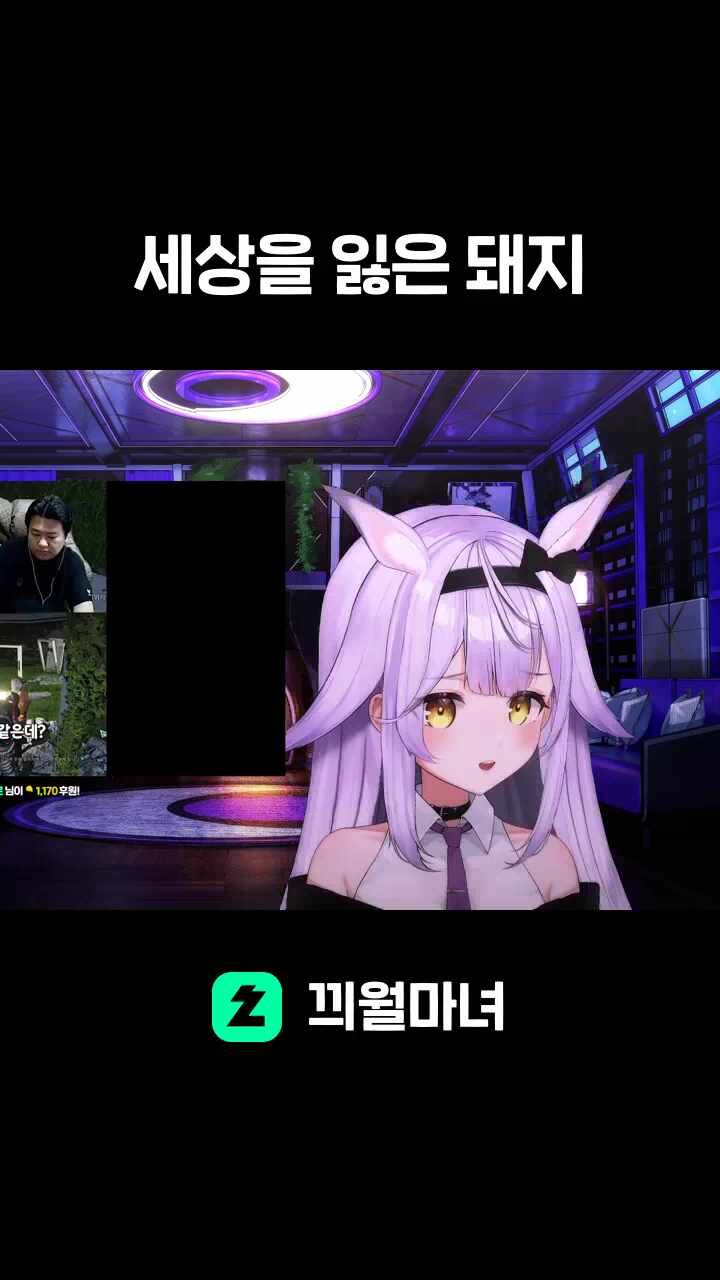 세상을 잃은 돼지
