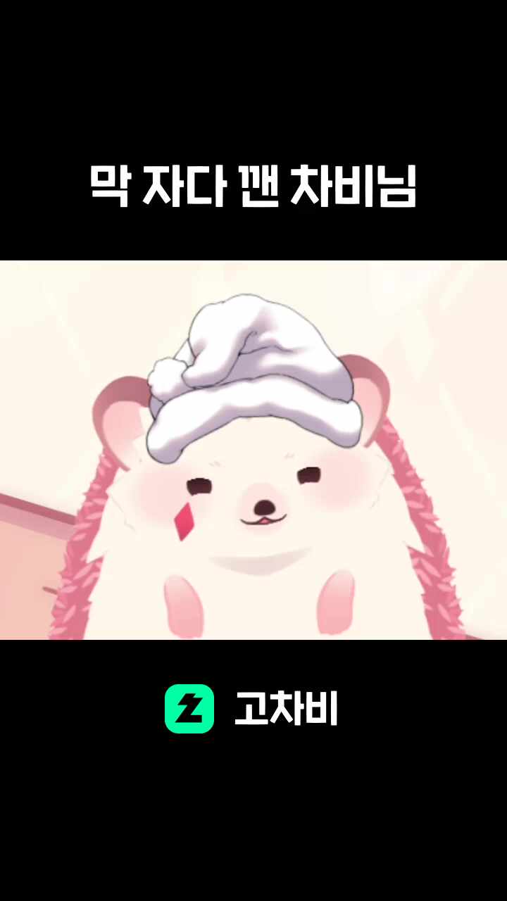 막 자다 깬 차비님