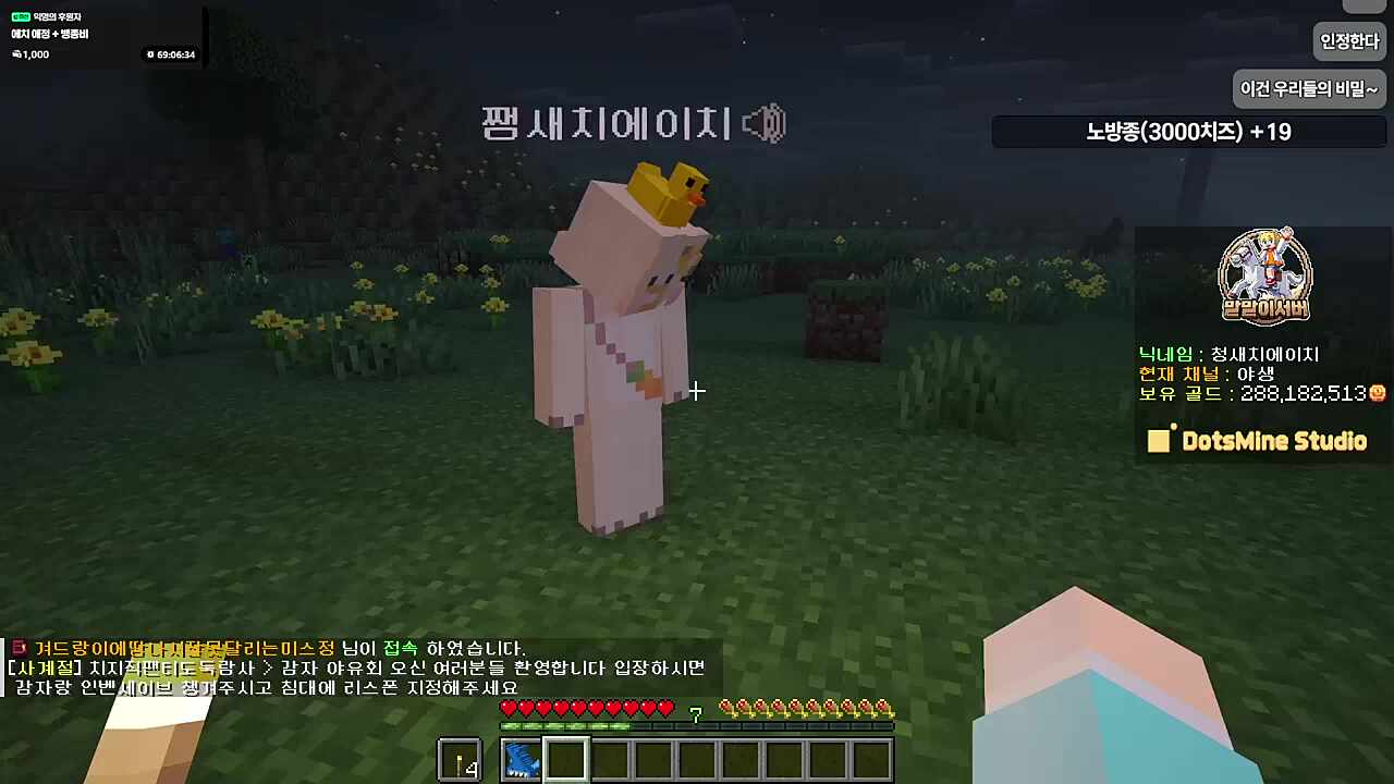 귀여움 4배 이벤트