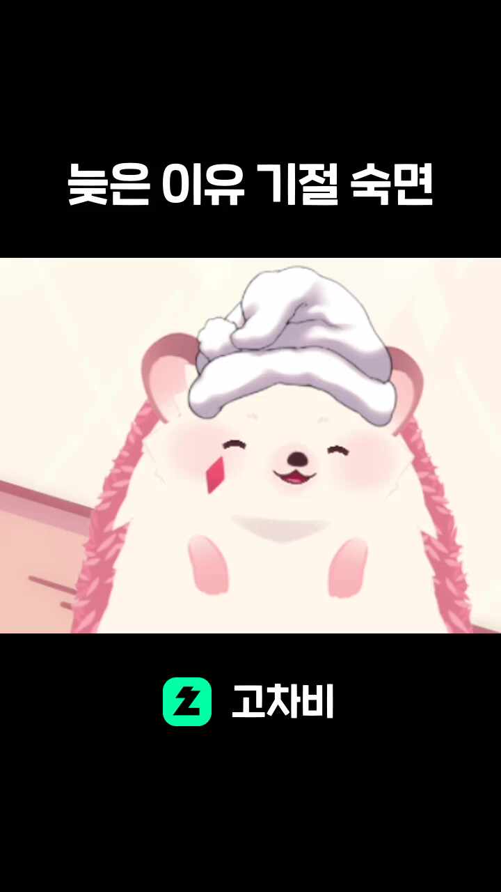 늦은 이유 기절 숙면