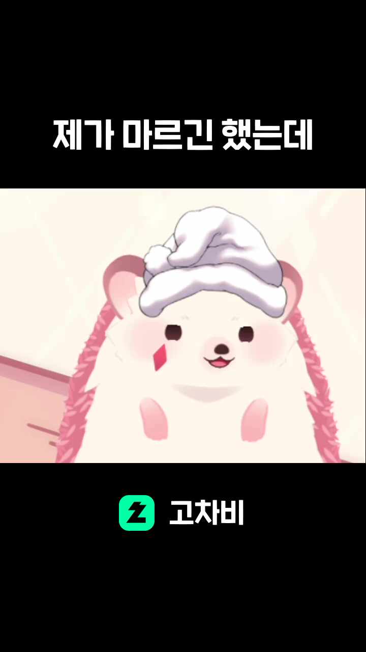 제가 마르긴 했는데