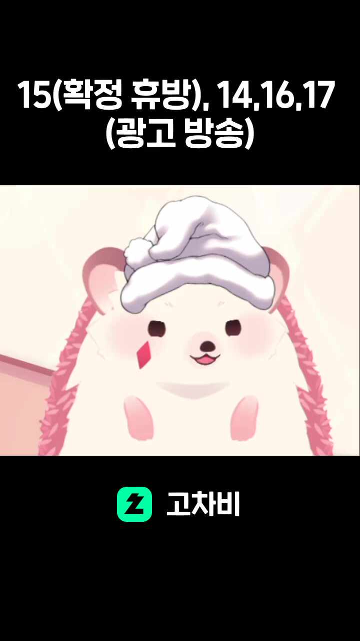 15(확정 휴방), 14,16,17 (광고 방송)