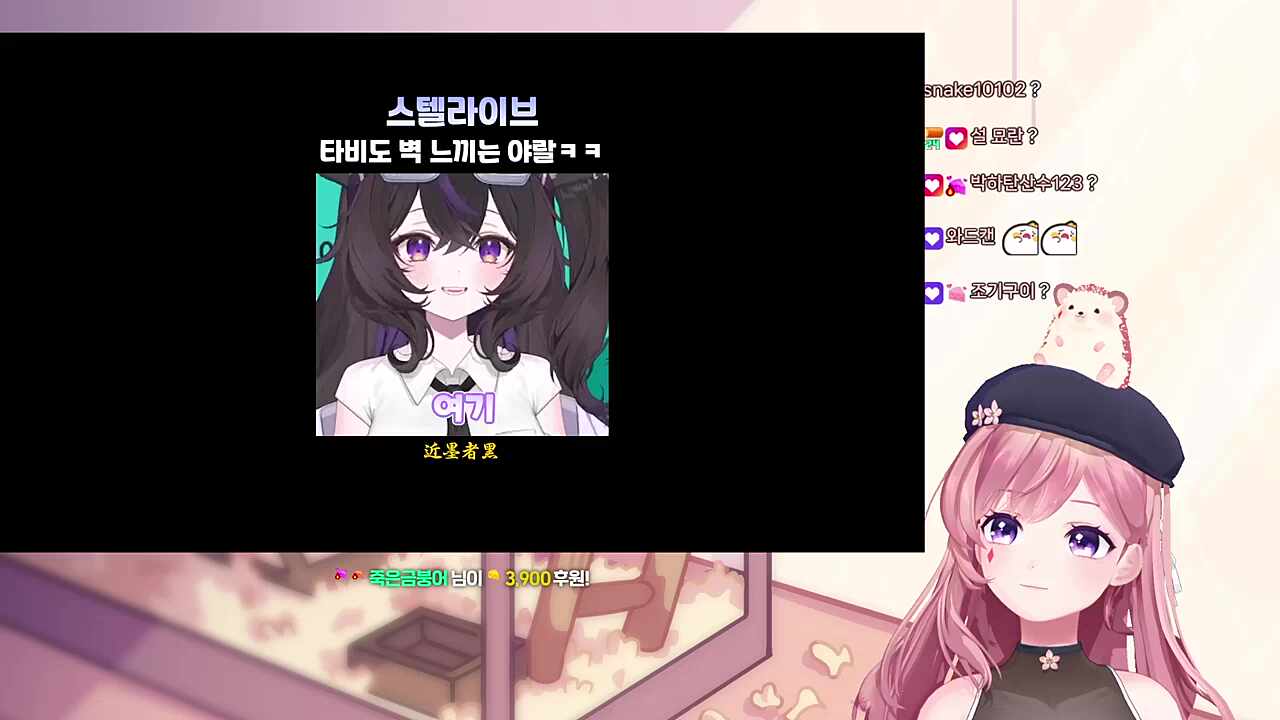 타비 클립을 본 