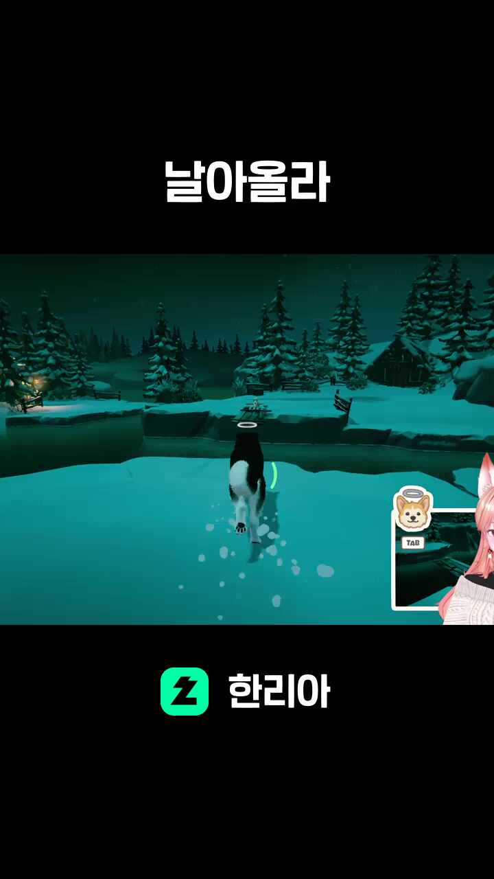 날아올라