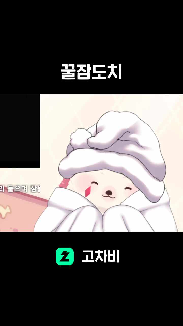 꿀잠도치