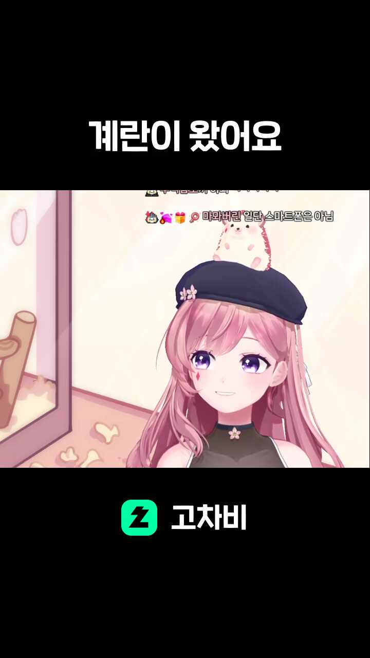 계란이 왔어요