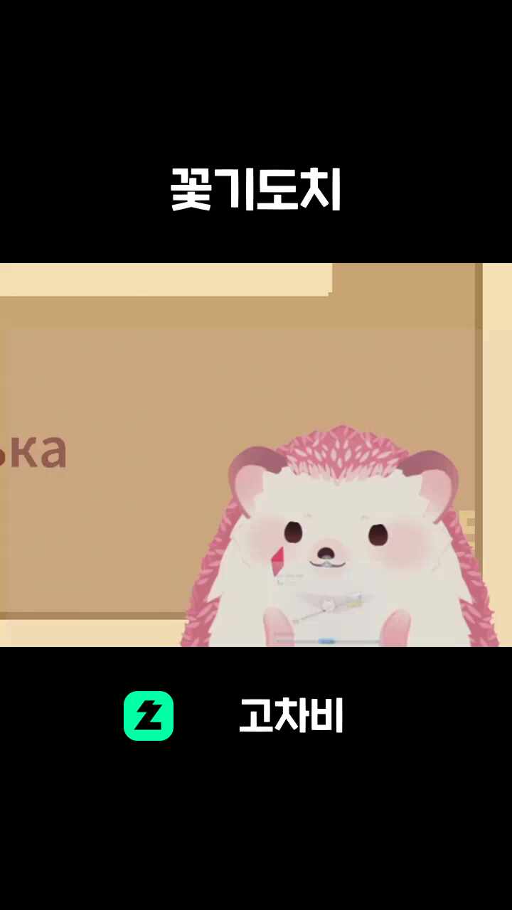 꽃기도치