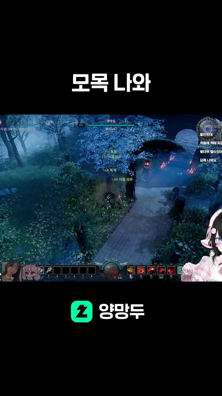 모목 나와