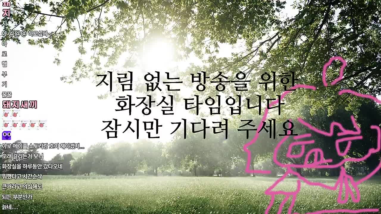 아로를 위한 선물들