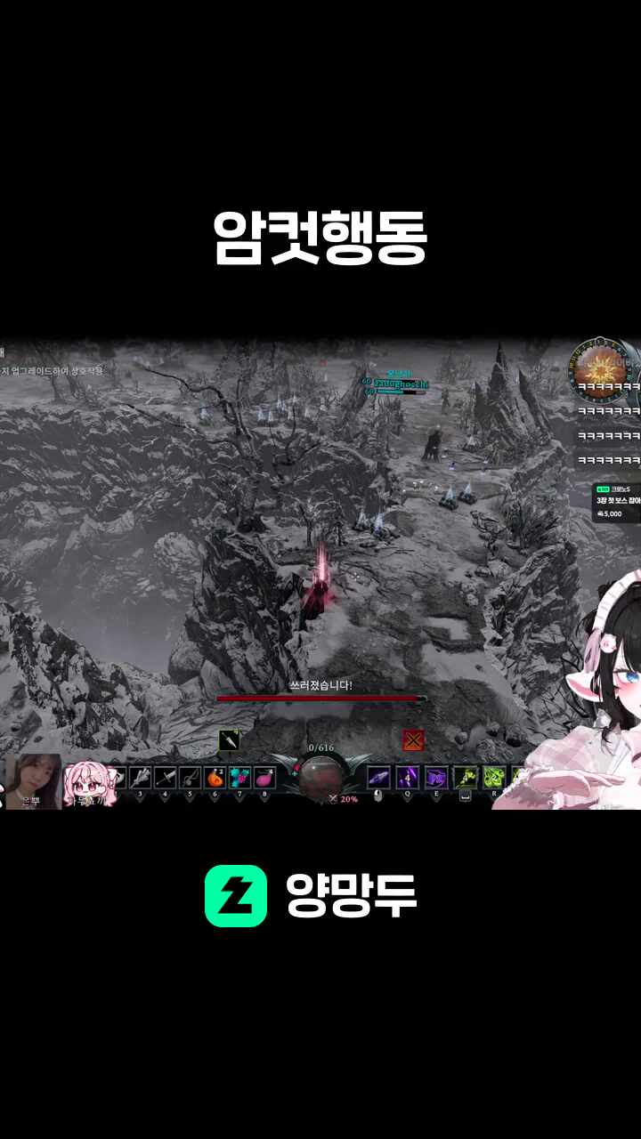 암컷행동