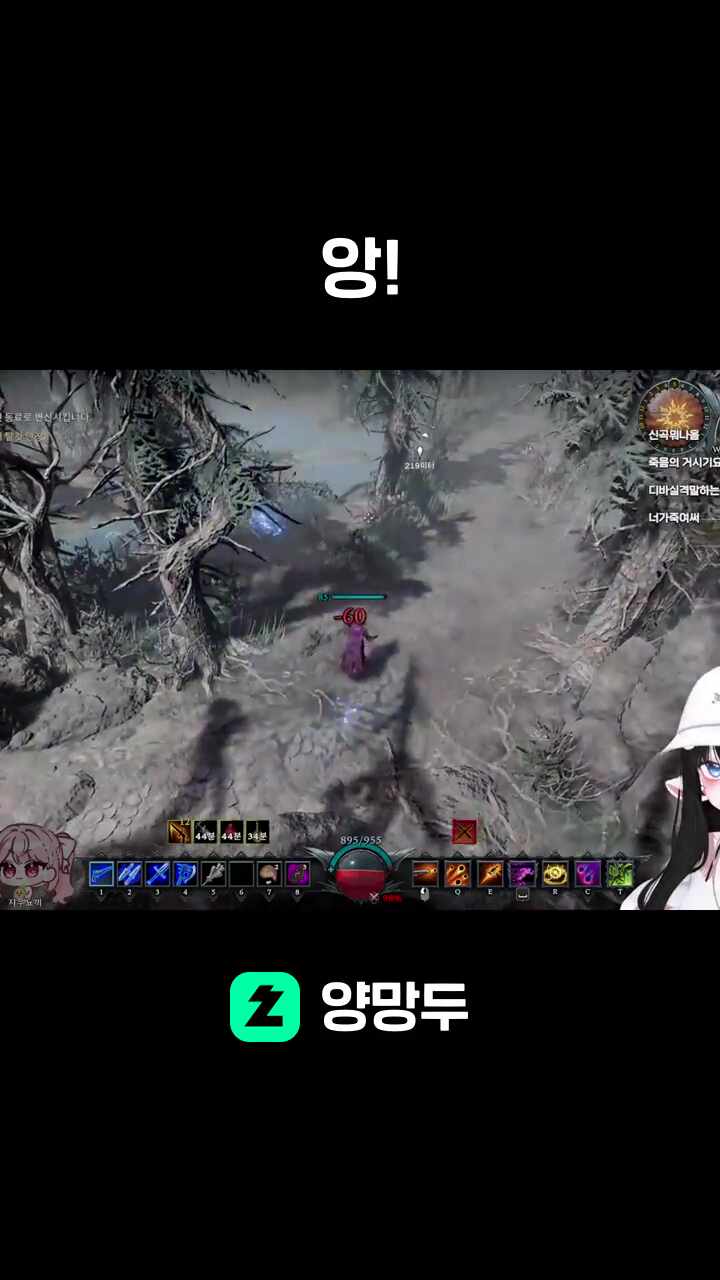 앙!