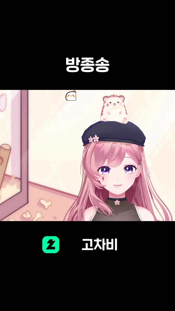 방종송