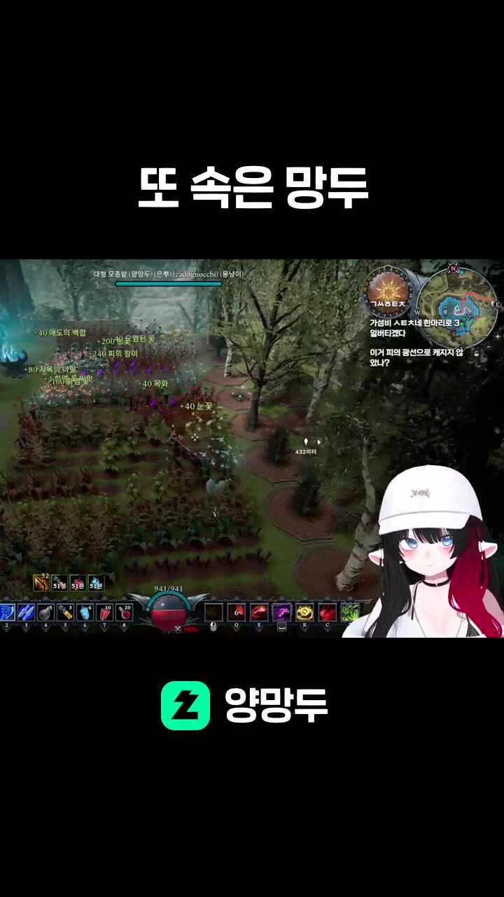 또 속은 망두