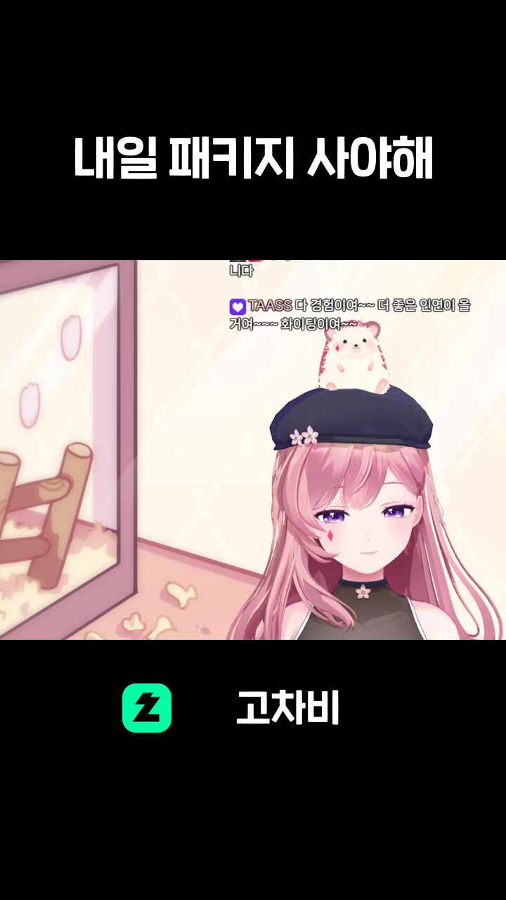 내일 패키지 사야해