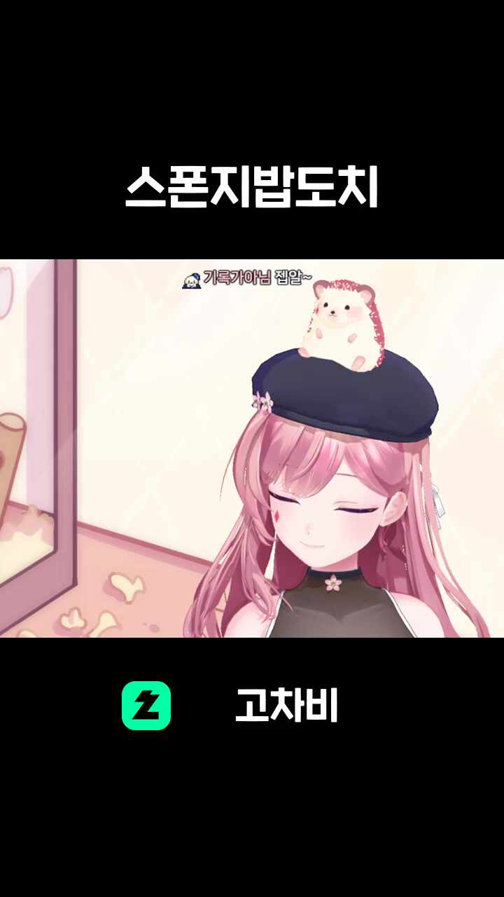 스폰지밥도치
