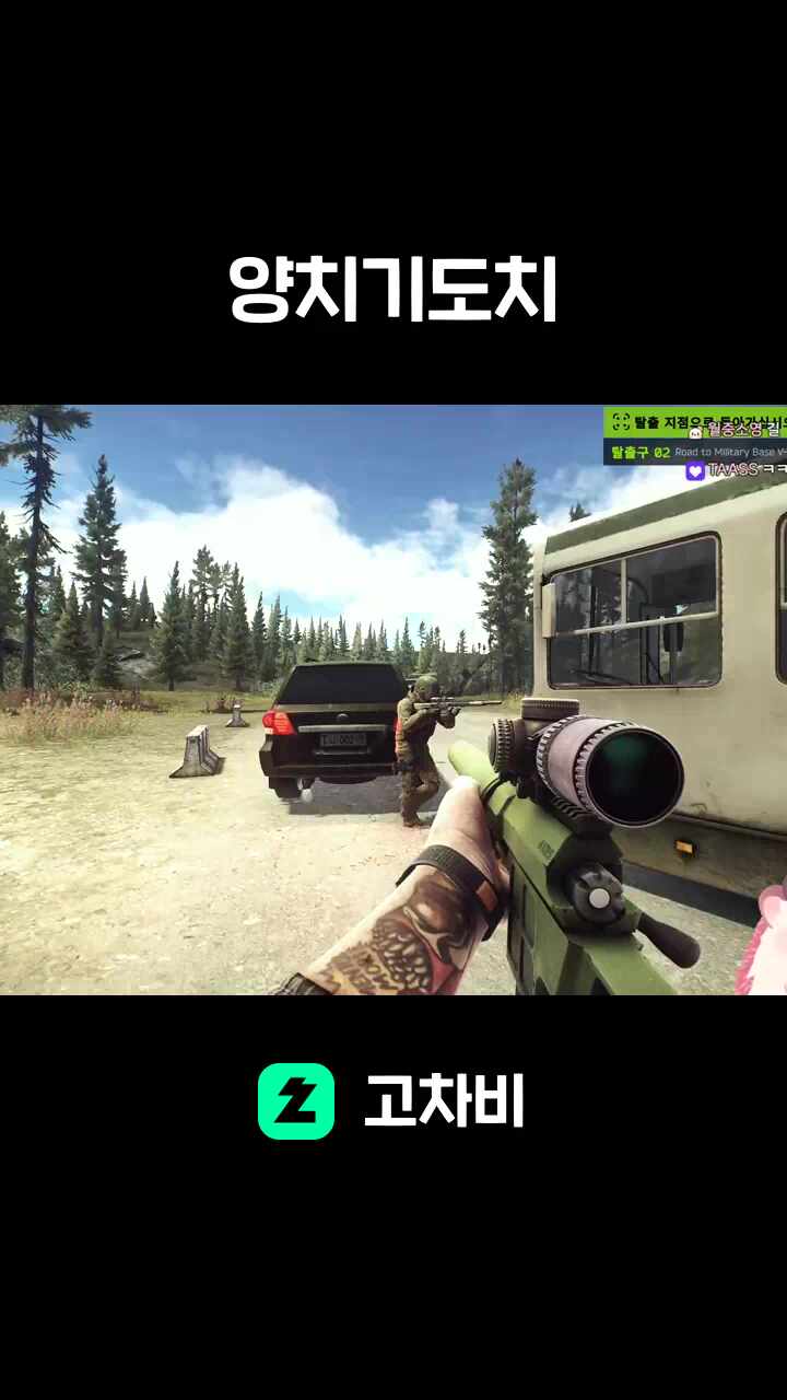 양치기도치