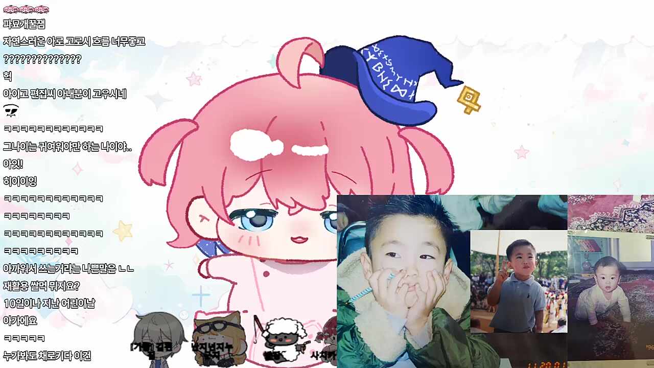 채로키 사진