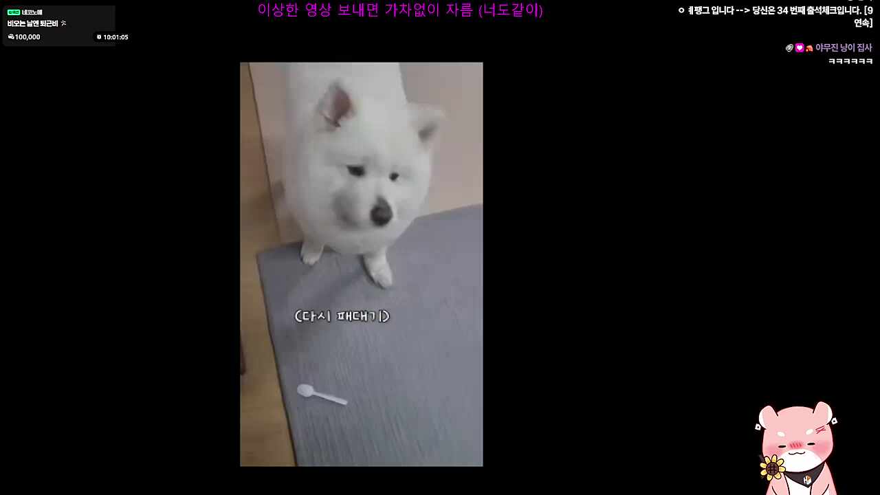 설탕이랑 내적친밀감 생긴 하루 ㅋㅋㅋㅋㅋ
