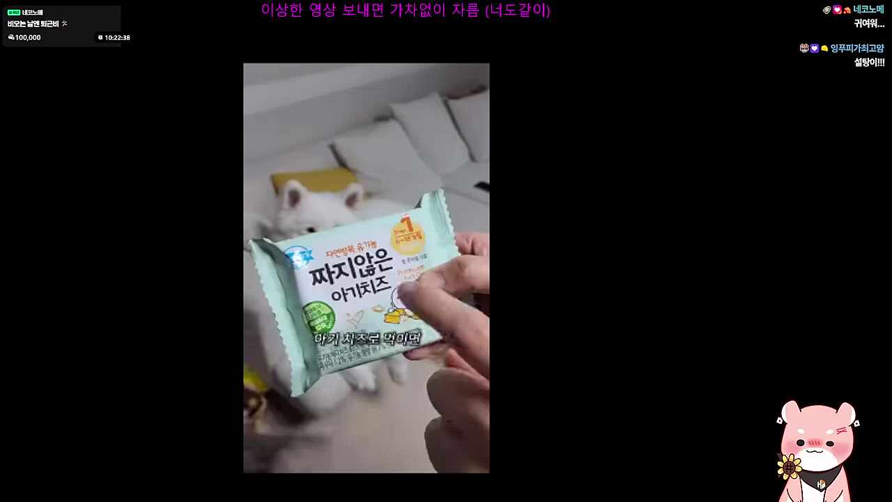 기여워🐹