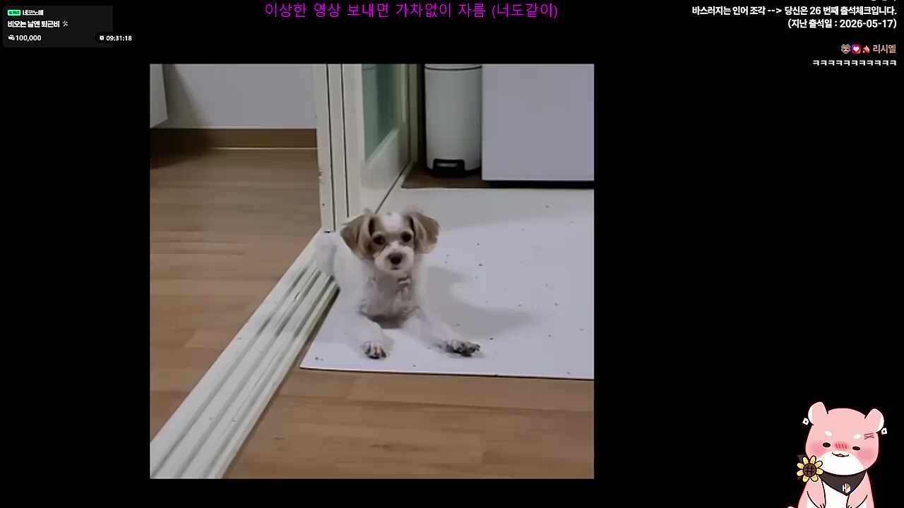 와 진짜 고수시다