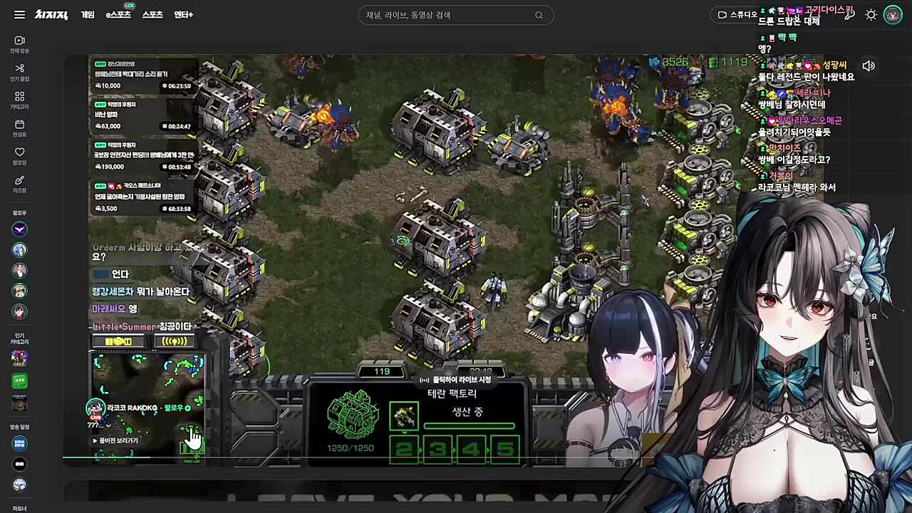 멘헤라테란 직관..