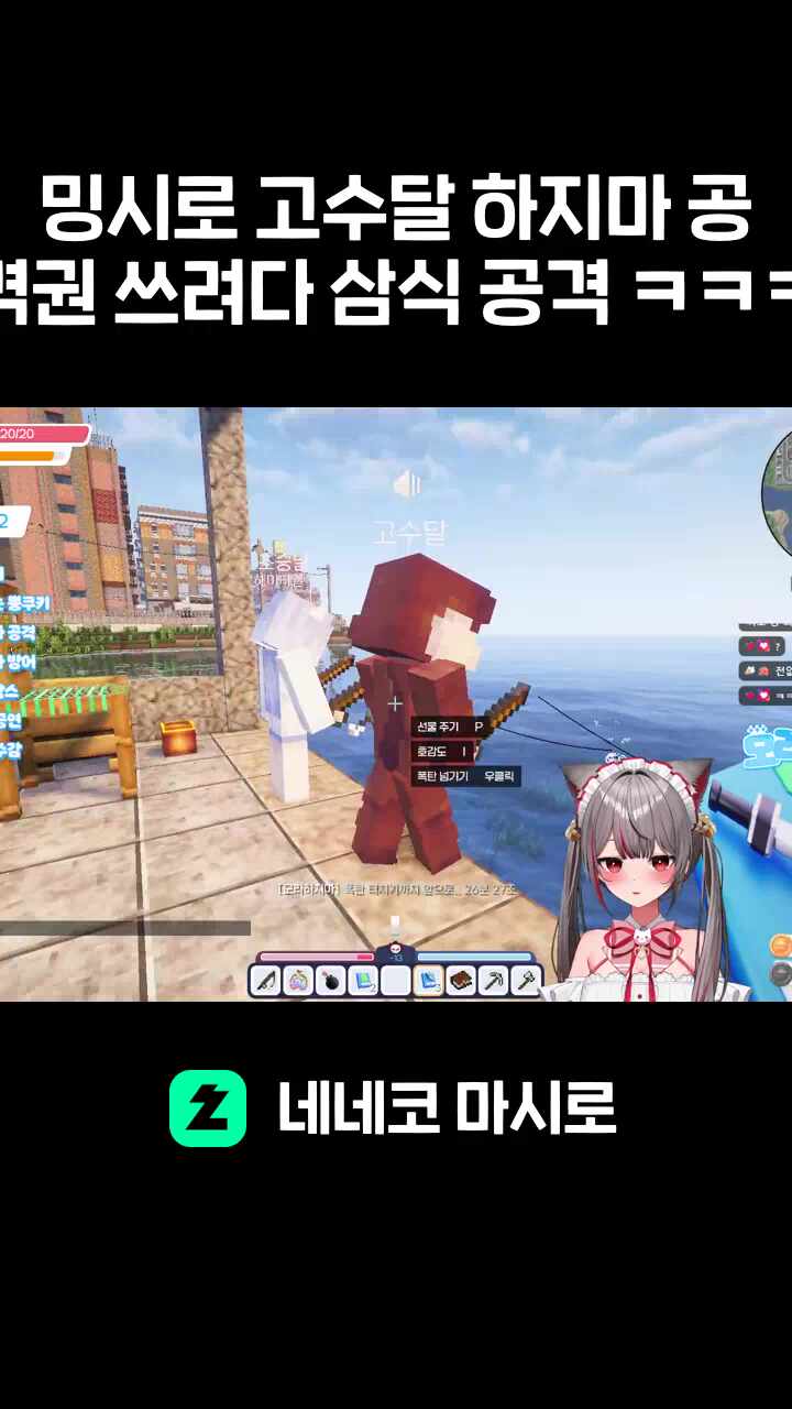 의문의 삼식 공격