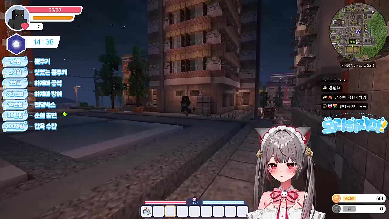 검은고양이