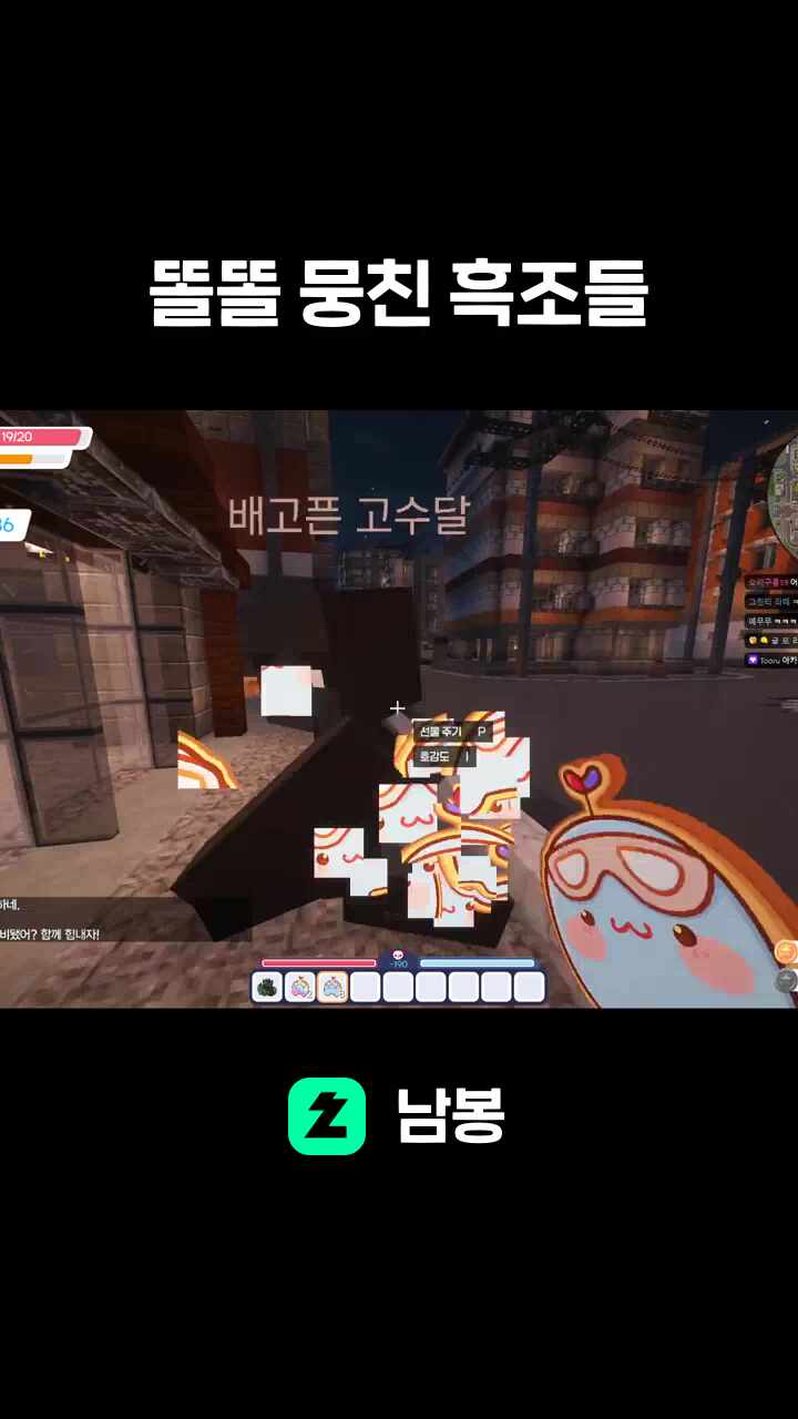 똘똘 뭉친 흑조들
