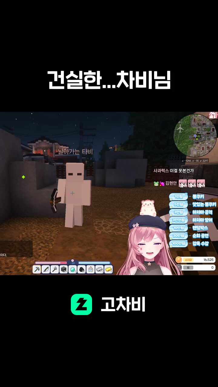 건실한...차비님