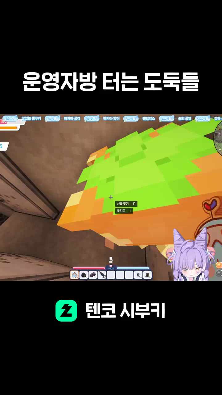운영자방 터는 도둑들