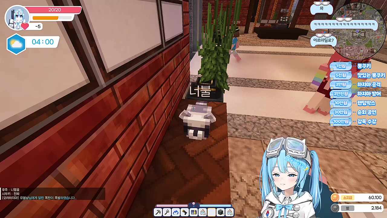 너불(펫)